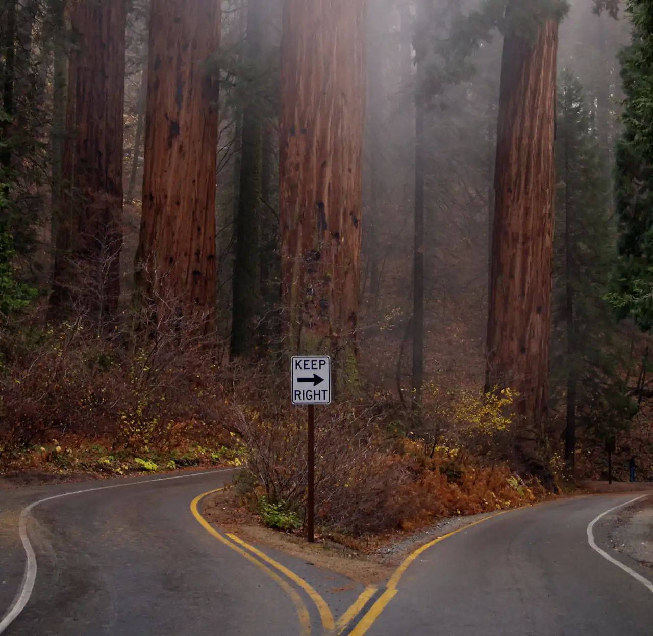 Weg im Sequoia National Park
