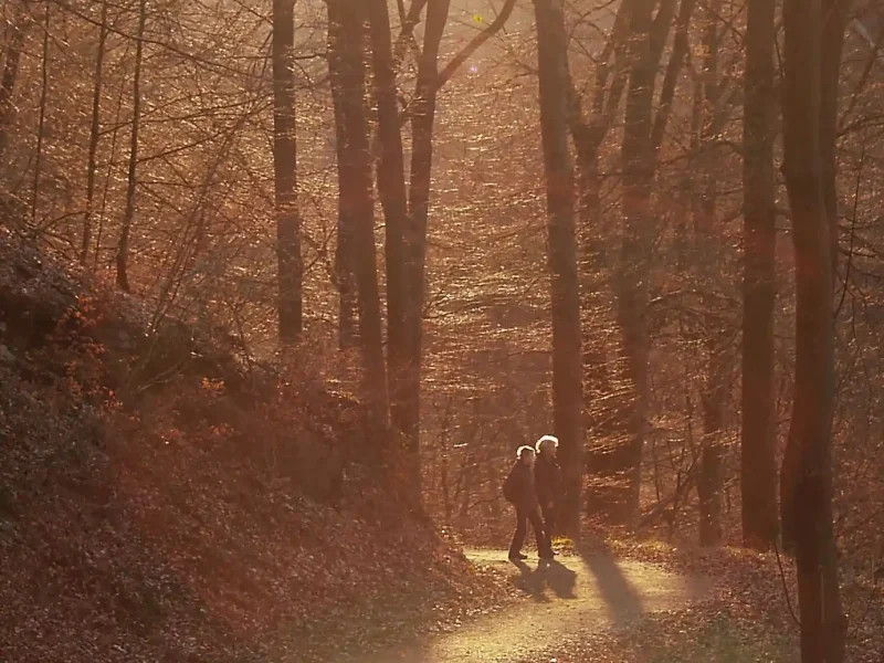 Wanderndes Paar im Müngstener Brückenpark